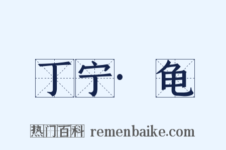 丁宁·龟是什么意思的图片